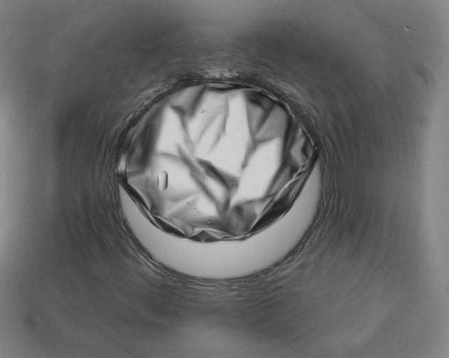 X0000113531444200910091213