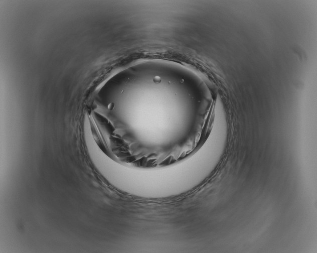 X0000113531445200910091213