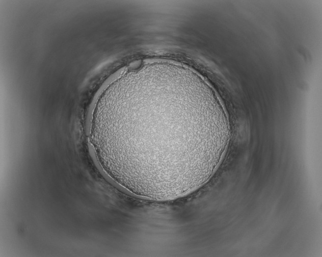 X0000113531446200910091213