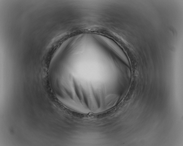 X0000113531447200910091213