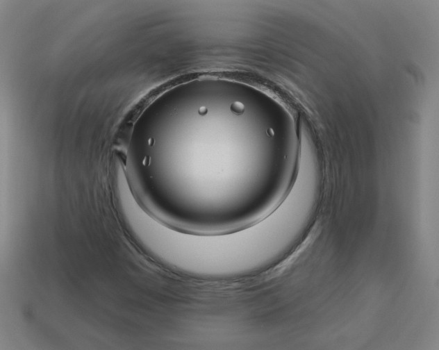 X0000113531449200910091213