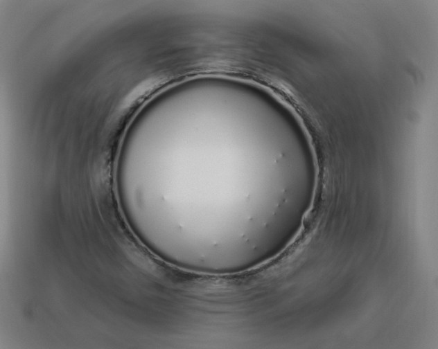 X0000113531450200910091213