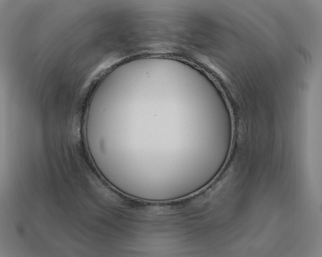 X0000113531451200910091213