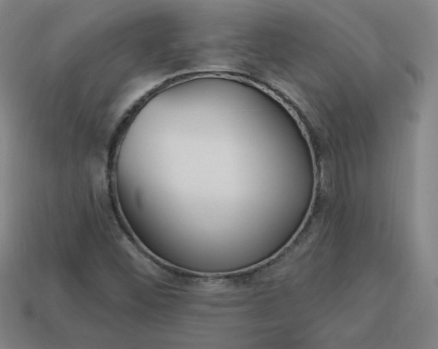 X0000113531452200910091213