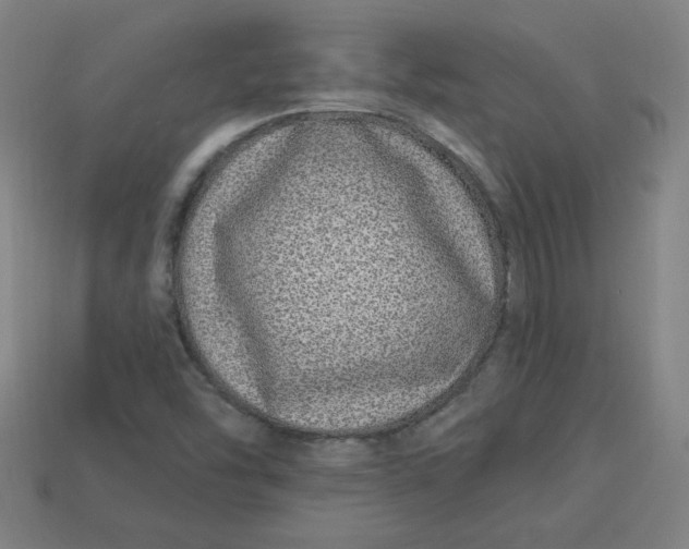 X0000113531454200910091213