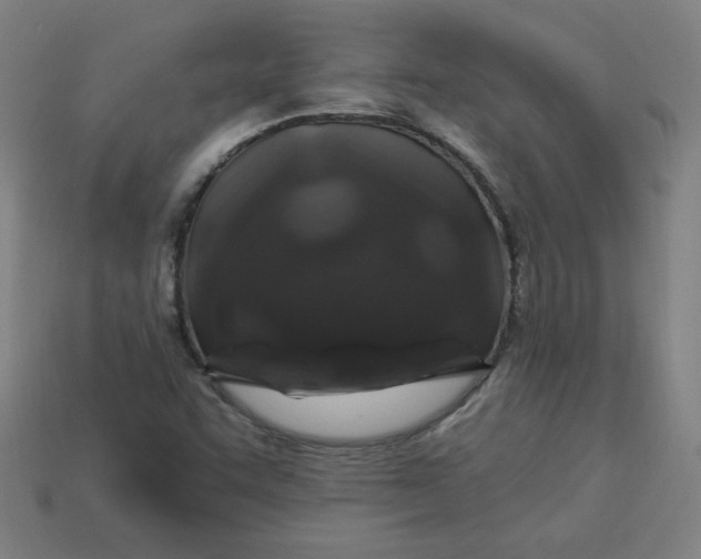 X0000113531455200910091213