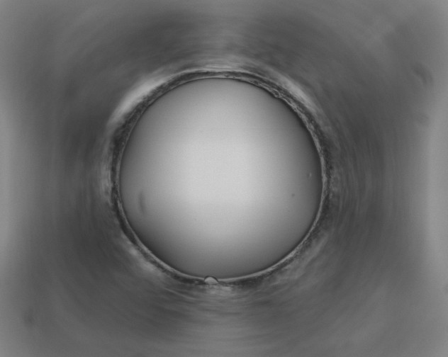 X0000113531456200910091213