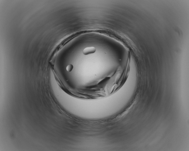 X0000113531457200910091213