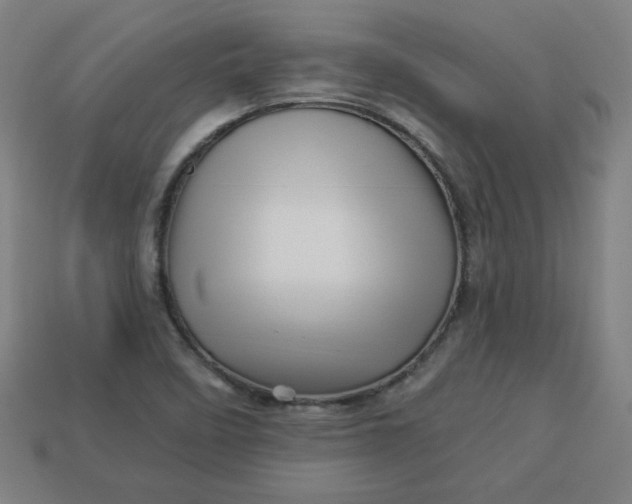 X0000113531458200910091213