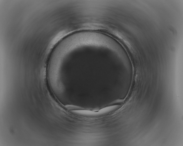 X0000113531459200910091213