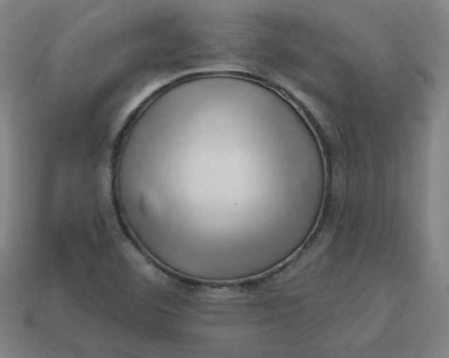 X0000113531460200910091213