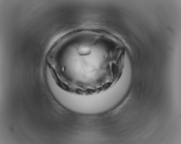 X0000113531461200910091213