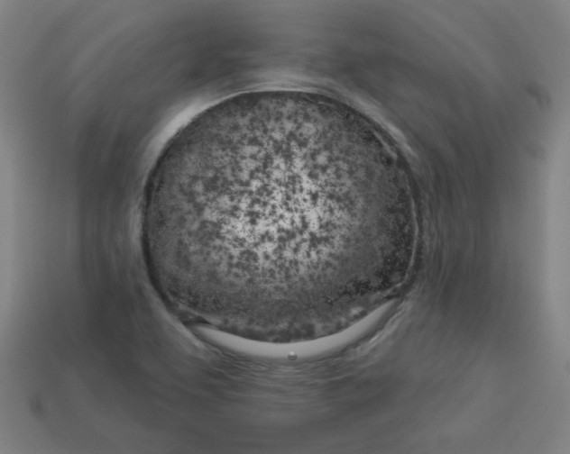 X0000113531463200910091213