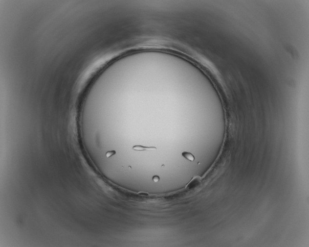 X0000113531464200910091213