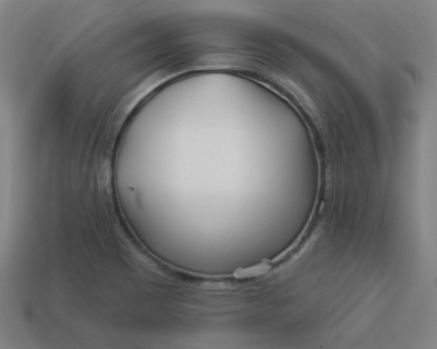 X0000113531465200910091213