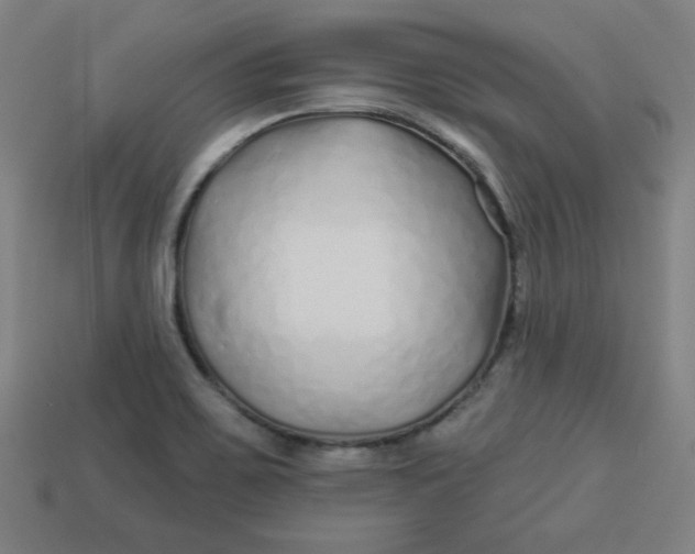 X0000113531467200910091213