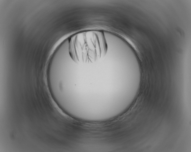 X0000113531468200910091213