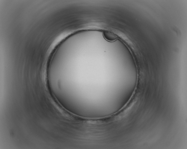 X0000113531469200910091213