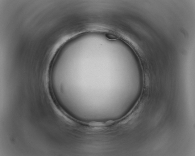 X0000113531471200910091213