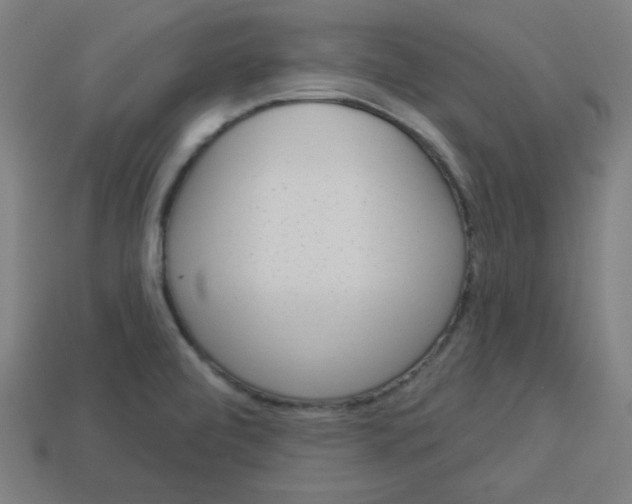 X0000113531472200910091213