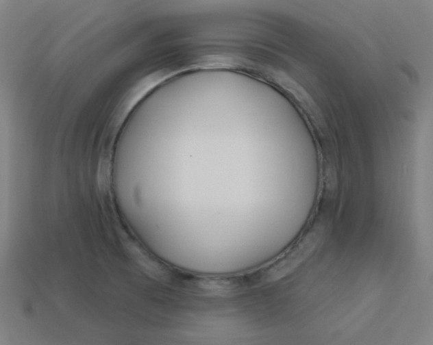 X0000113531473200910091213