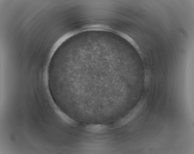 X0000113531474200910091213