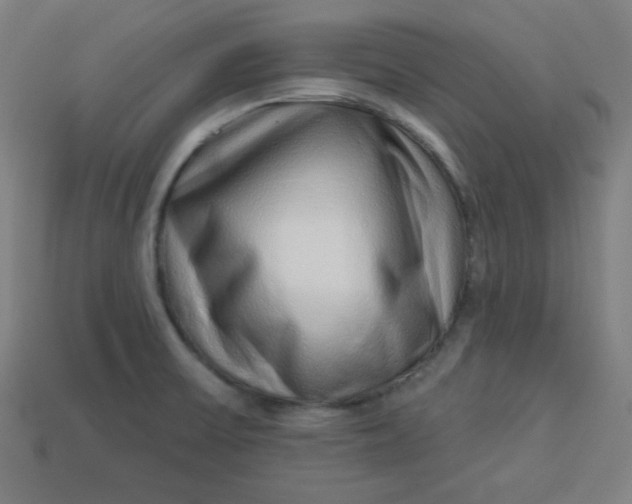 X0000113531475200910091213