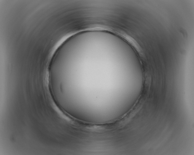 X0000113531476200910091213