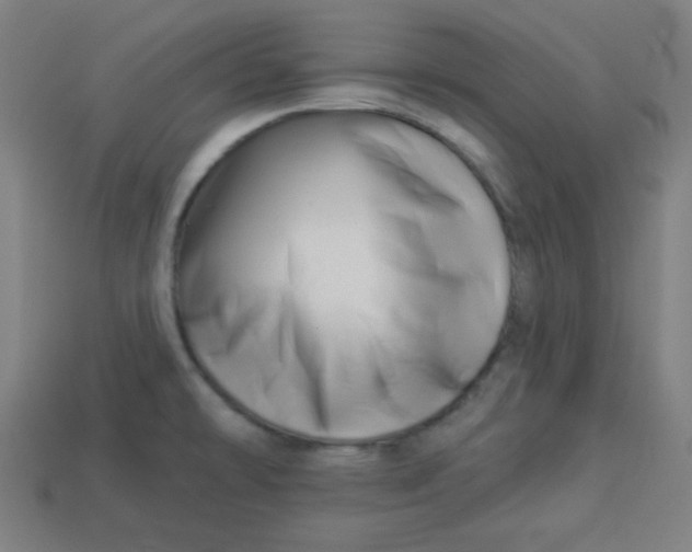 X0000113531478200910091213