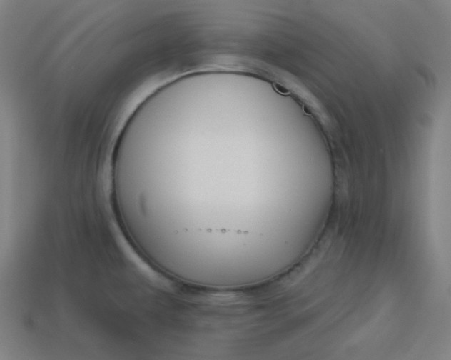 X0000113531479200910091213