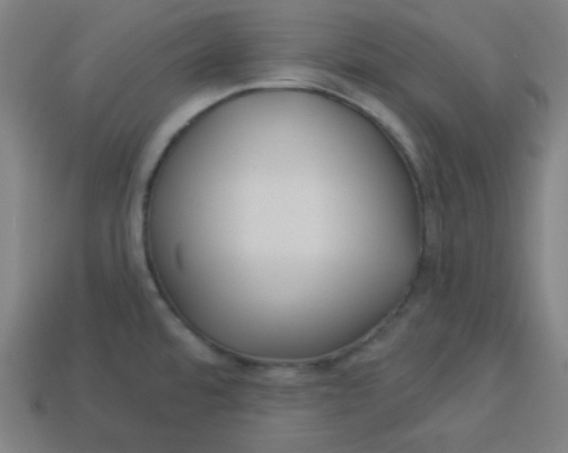 X0000113531480200910091213