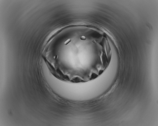 X0000113531481200910091213