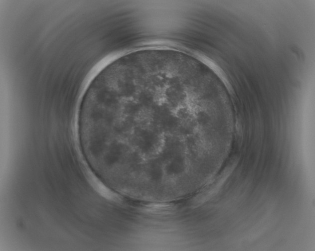 X0000113531482200910091213