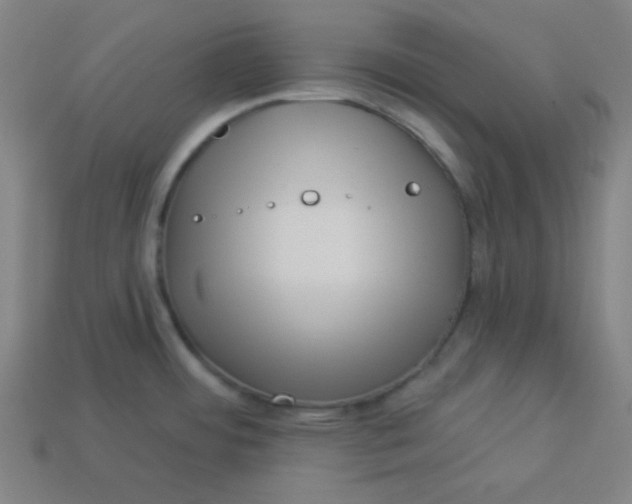 X0000113531484200910091213