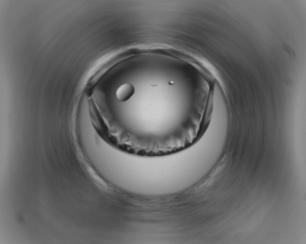 X0000113531485200910091213