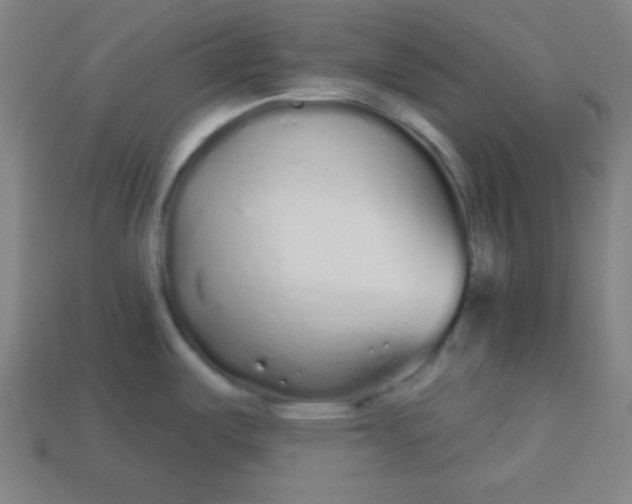 X0000113531487200910091213