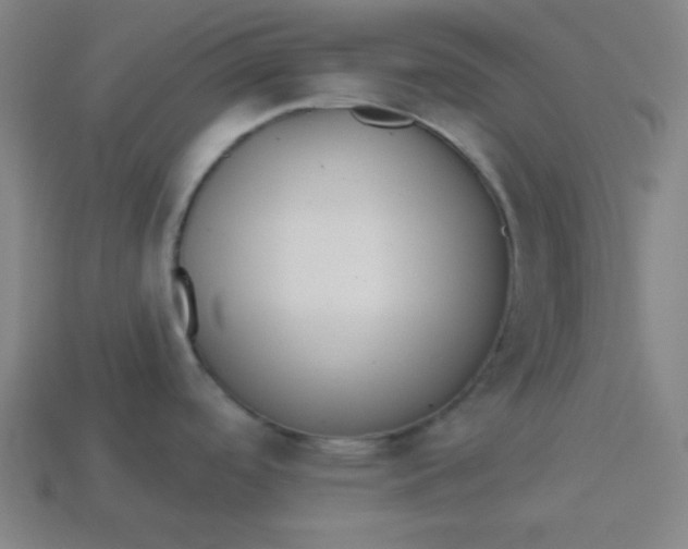 X0000113531488200910091213