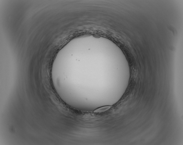 X0000113531489200910091212