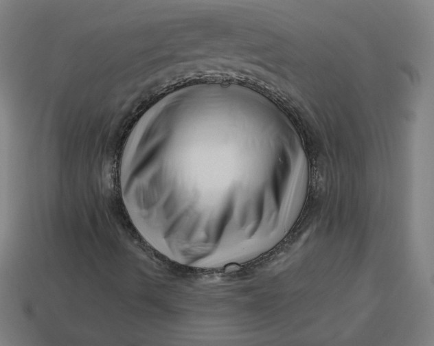 X0000113531490200910091212