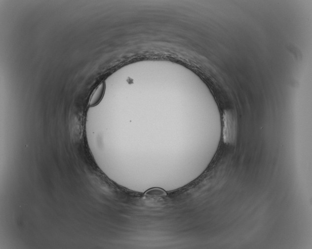 X0000113531491200910091212