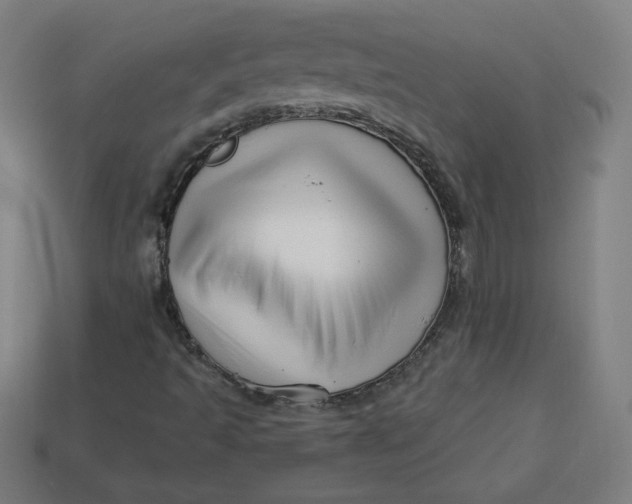 X0000113531493200910091212