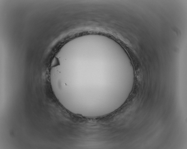 X0000113531495200910091212