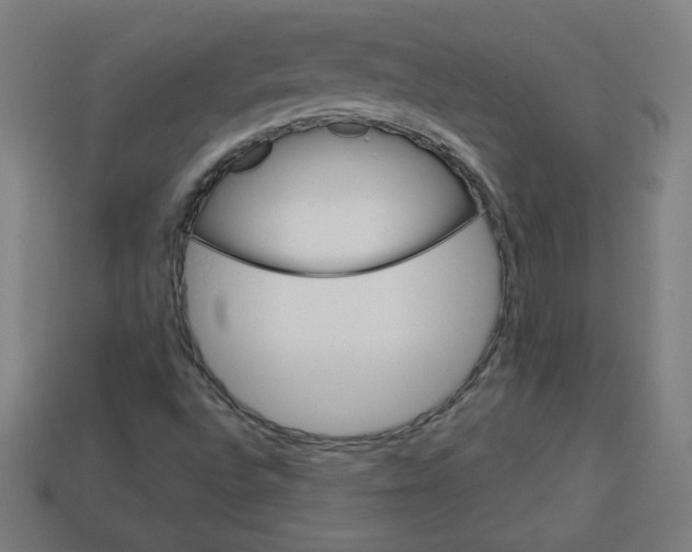 X0000113531496200910091212