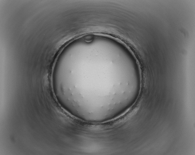 X0000113531497200910091212