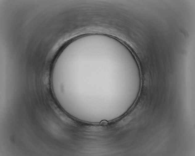 X0000113531499200910091212