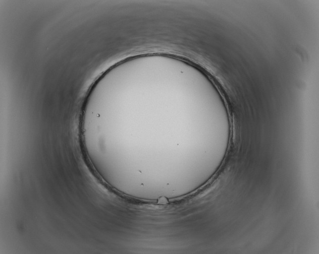 X0000113531500200910091212