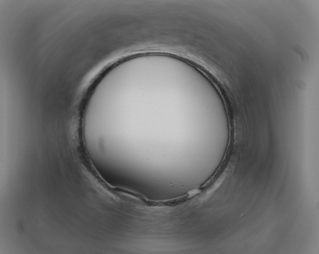 X0000113531502200910091212