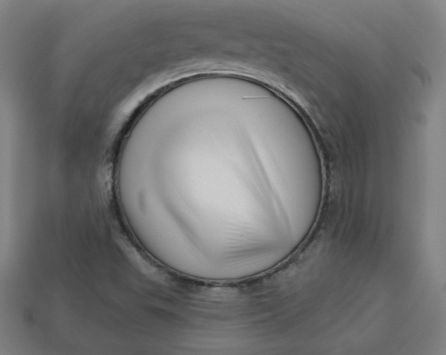 X0000113531503200910091212