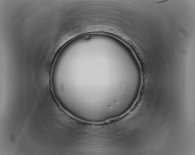 X0000113531505200910091212