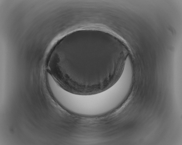 X0000113531506200910091212